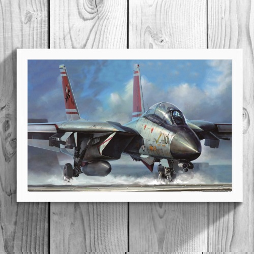Quadro - F-14 TOMCAT (20cm x 30cm)