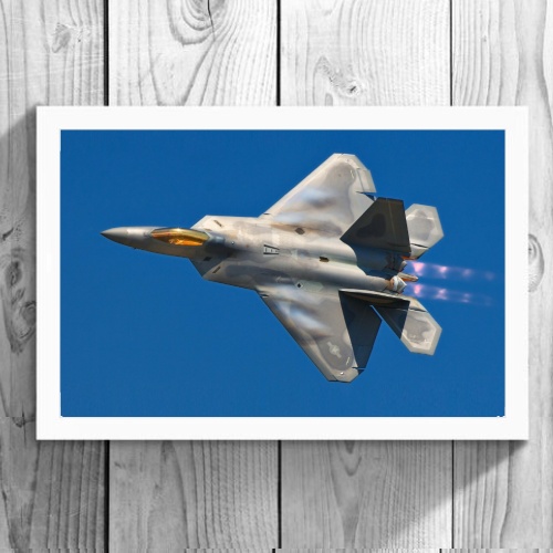 Quadro - F-22 RAPTOR (20cm x 30cm)