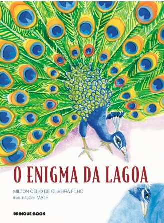 O ENIGMA DA LAGOA