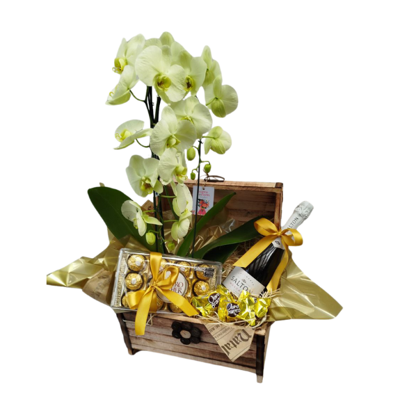 Cesta de Natal Espumante Salton, Ferrero e Orquídea