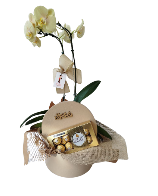 Box Orquídea Com Ferrero 100g