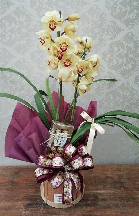 Cymbidium com Ferrero