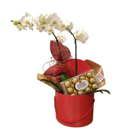 Orquídea com Ferrero