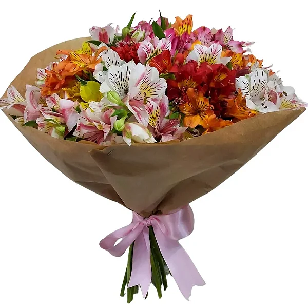 205 - Buquê de astromélias coloridas