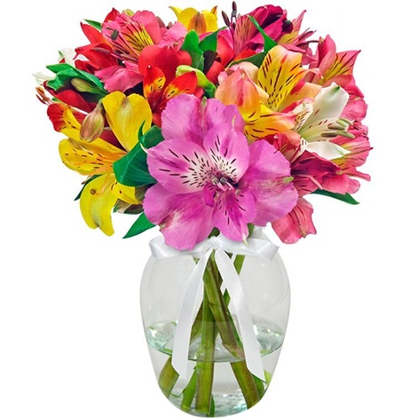 411 - Jarro com astromélias