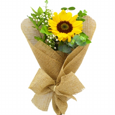 Girassol embalado na juta