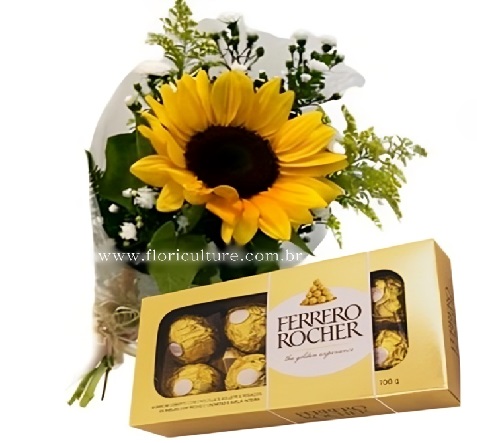 173 - Girassol embalado e Ferrero