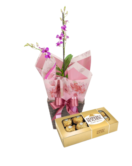 Mini orquídea com Ferrero rocher