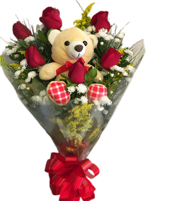 Buquê de 6 rosas vermelhas e pelucia