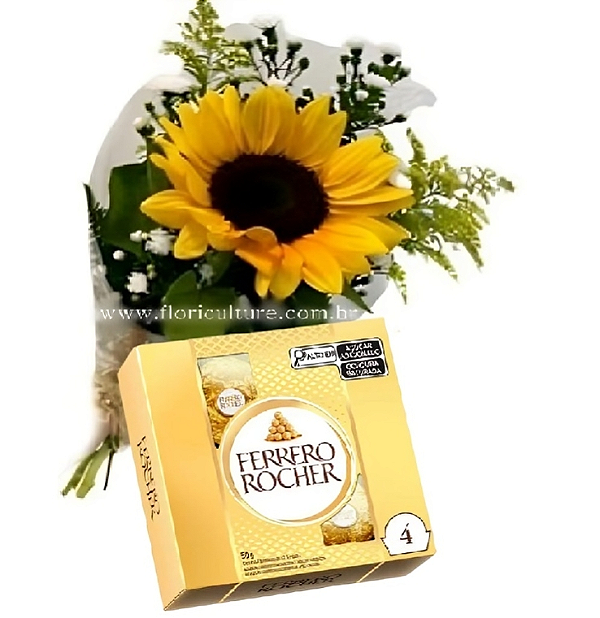 202 - Girassol embalado e Ferrero