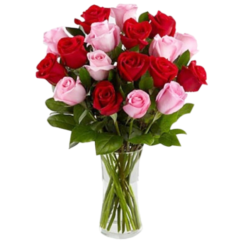 415 - Jarro de 12 rosas vermelhas e rosada