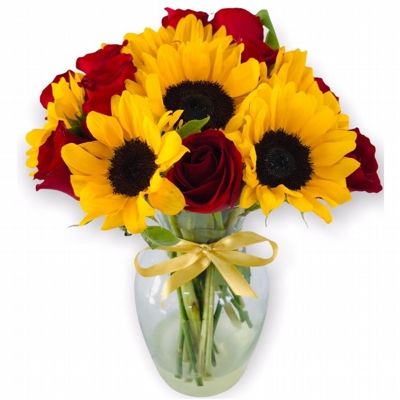 231 - Jarro de rosas e girassóis