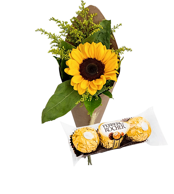 201 - Girassol embalado e Ferrero