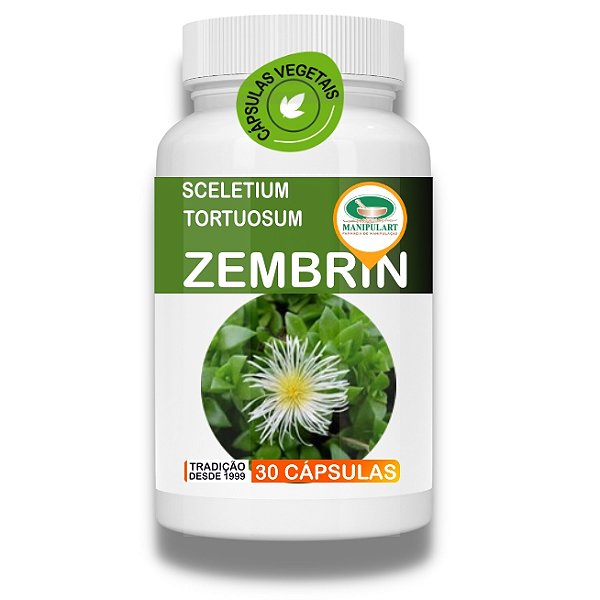 ZEMBRIN | COMPULSÃO ALIMENTAR DURANTE A TPM