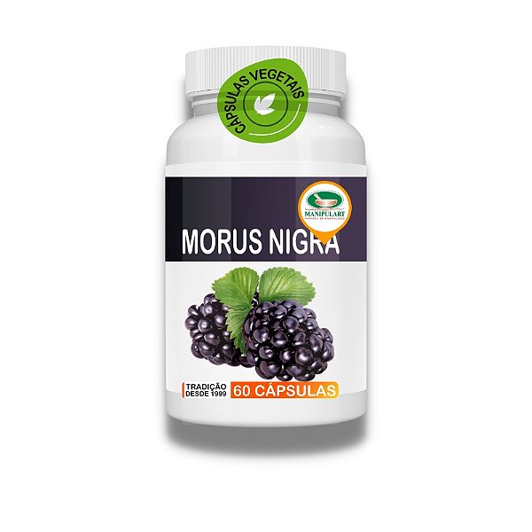 MORUS NIGRA | AMORA PRETA
