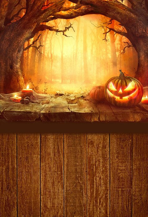 Fundo Fotográfico em Tecido Sublimado Ritual Halloween