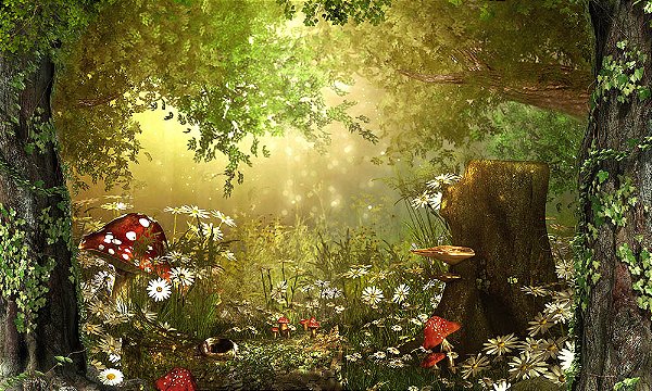 Painel de Festa em Tecido Sublimado Floresta Encantada Cogumelos