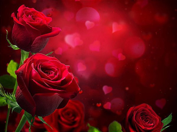 Painel de Festa em Tecido Sublimado 3d Belíssimas Rosas Vermelhas
