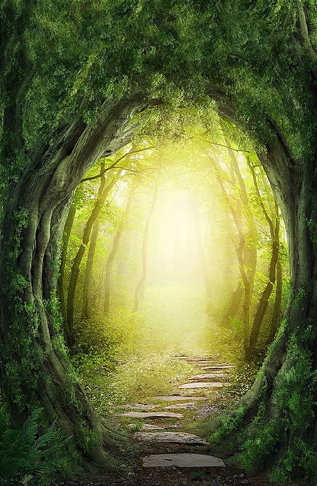 Fundo Fotográfico em Tecido Sublimado Portal na Floresta