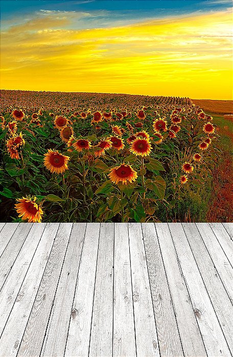 Fundo Fotográfico em Tecido Sublimado Girassóis