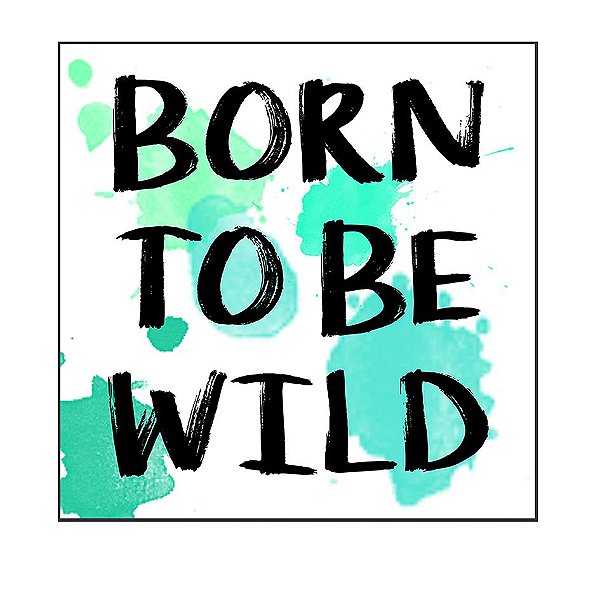 QUADRO DECORATIVO BORN TO BE WILD