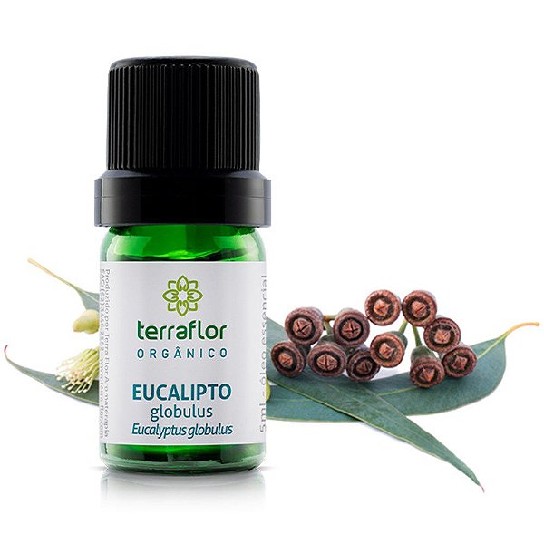 Óleo essencial eucalipto glóbulos orgânico | Terra Flor | 10ml