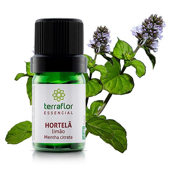 Óleo essencial de hortelã limão | Terra Flor | 5ml