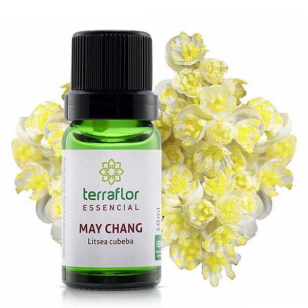 Óleo essencial de may chang (litsea cubeba) |Terra Flor | 10ml