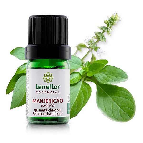 Óleo essencial de manjericão exotico | Terra Flor|  5ml