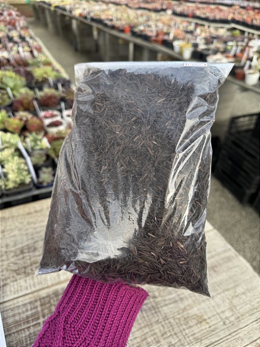 Casca de arroz carbonizada  1 litro
