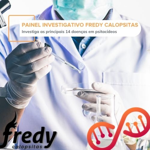 Painel Investigativo Fredy Calopsitas