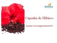 Hibiscus 300mg 60 cápsulas