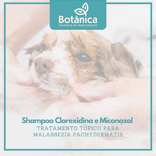 Shampoo clorexidina 2% e miconazol 2% 500ml