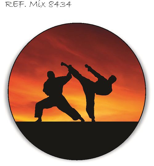 Painel Festa Redondo Sublimado Karatê C/elástico