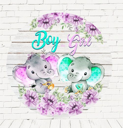 Painel Festa Redondo Sublimado Chá revelação C/elástico