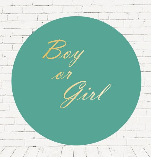 Painel Festa Redondo Sublimado Chá revelação C/elástico