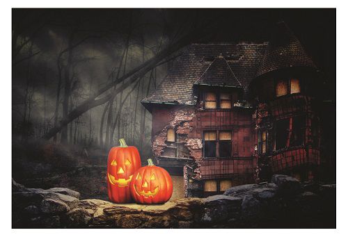 Fundo Fotográfico Em Tecido Cenario Halloween