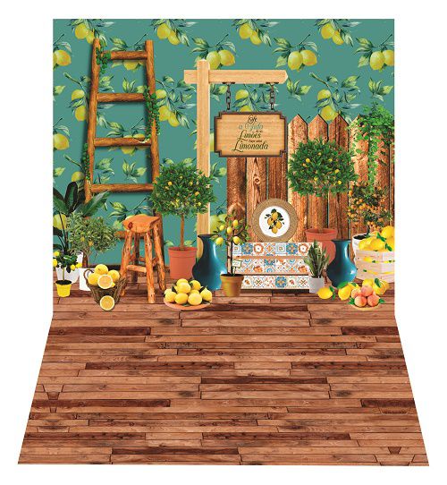 Fundo Fotográfico Em Tecido Cenário Verão Newborn