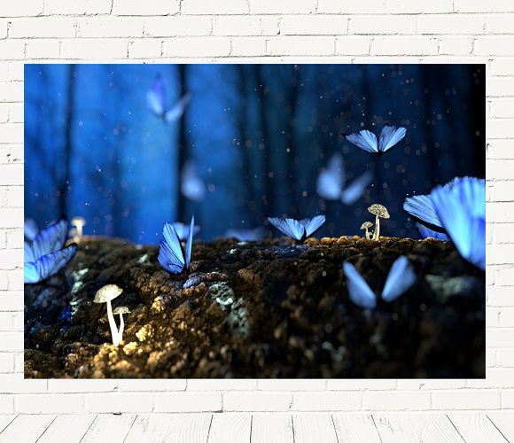 Fundo Fotográfico Em Tecido Cenário Borboleta