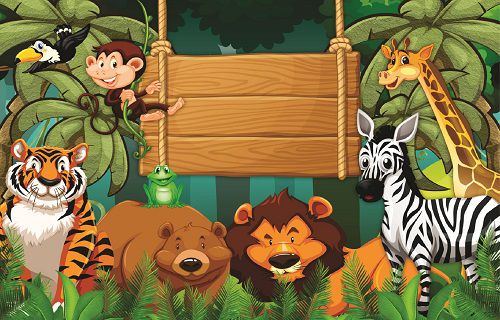 Fundo Fotográfico Cenário Safari