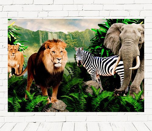 Fundo Fotográfico Cenário Safari