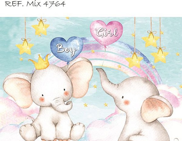 Fundo Fotográfico Cenário Chá Revelação