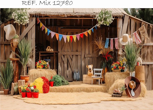 Fundo Fotográfico Cenário Festa Junina