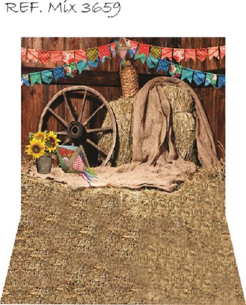 Fundo Fotográfico Cenário Newborn Festa Junina