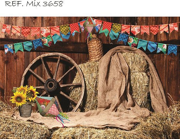 Fundo Fotográfico Cenário Festa Junina