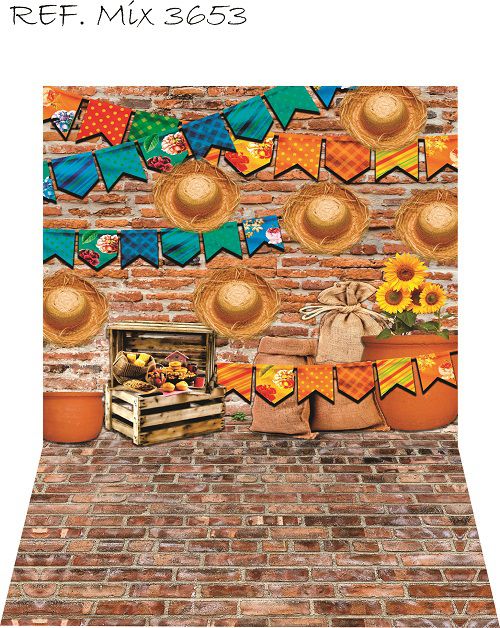 Fundo Fotográfico Cenário Newborn Festa Junina