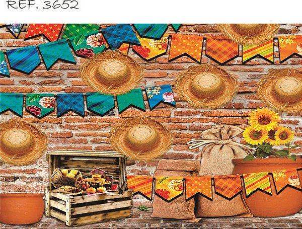 Fundo Fotográfico Sublimado 3D Festa Junina