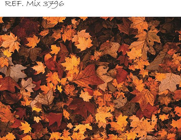 Fundo Fotográfico Sublimado 3D Folhagem