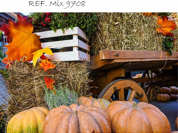 Fundo Fotográfico Sublimado 3D Halloween