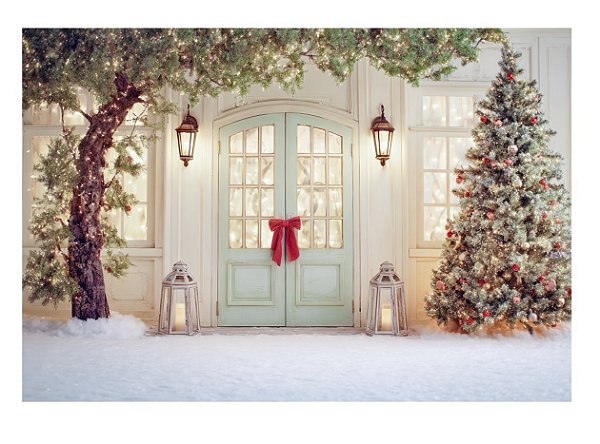 Fundo Fotográfico Entrada Natal